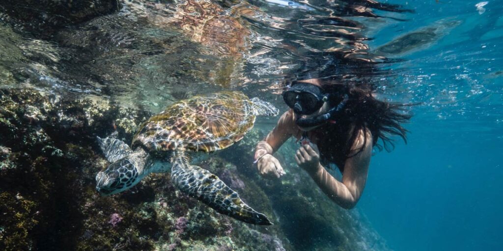 snorkellingByron bay