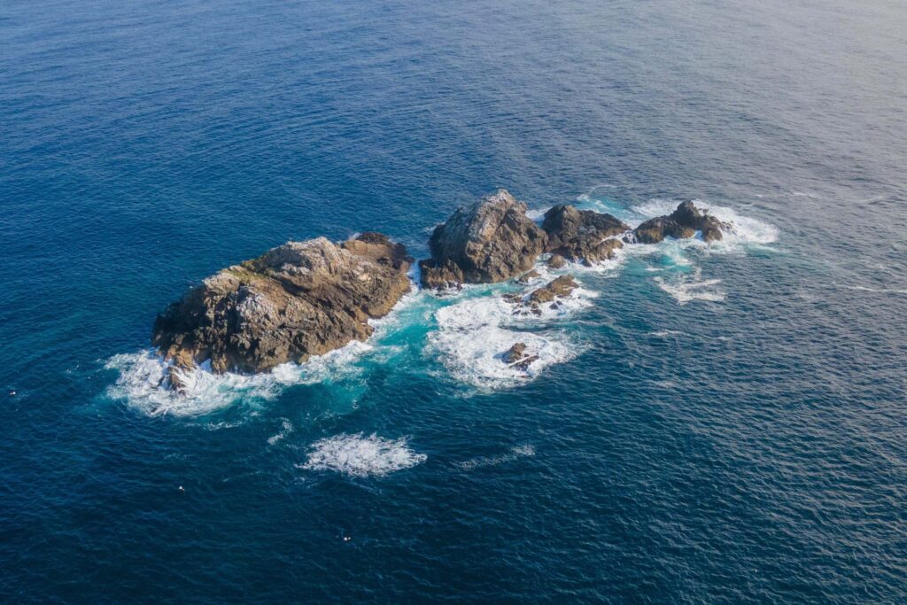 Julian Rocks “Nguthungulli” Nature Reserve - Wild Byron Whale watching ...